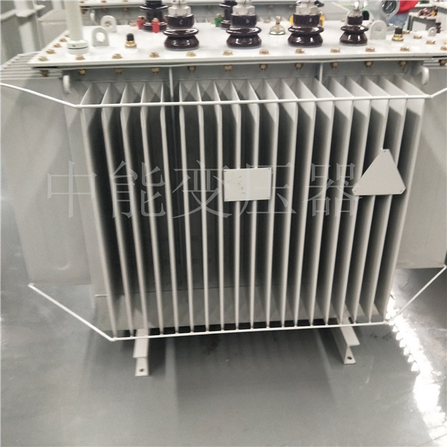黔南S20-800KVA变压器
