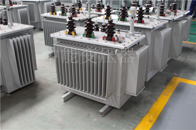 黔南S22-100KVA/10KV/0.4KV变压器